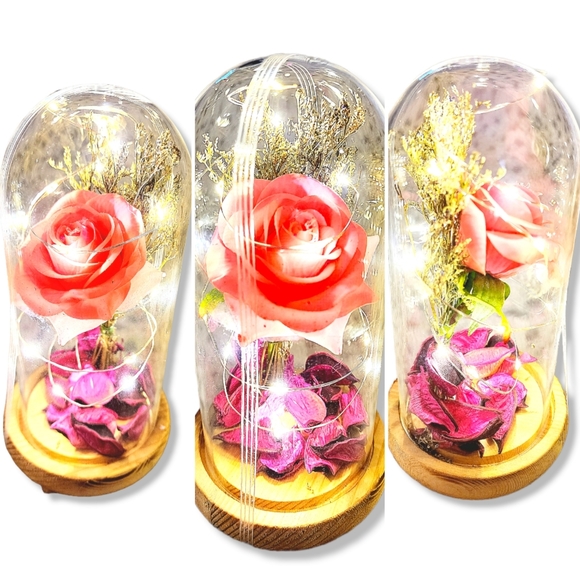 Silk Rose real preserved rose petals with Led Light String batteries Included - Picture 4 of 16